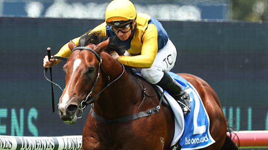 Unbeaten Golden Slipper favourite Storm Boy faces his biggest challenge on Saturday.