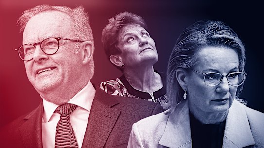 Labor and Anthony Albanese are riding high, while One Nation and Pauline Hanson continues to be a thorn in the side for Sussan Ley’s Coalition.
