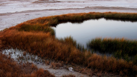 A mound spring near the shore of Lake Eyre in South Australia.
