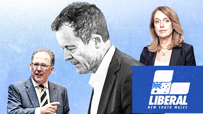Liberalci v NSW se pripravljajo na izziv, saj se Speakmanov položaj voditelja krha