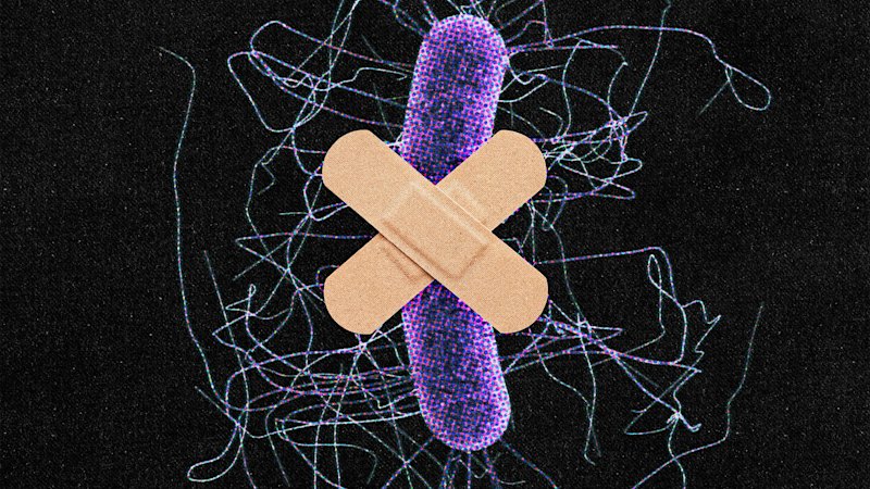 ‘Ultimate superbug’: New form of antibiotic resistance uncovered
