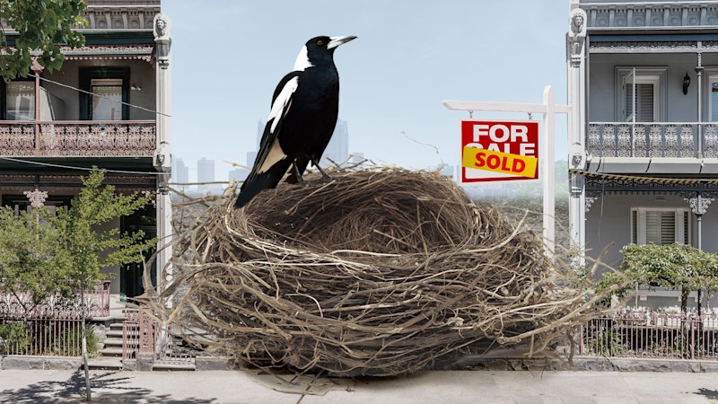 Why Collingwood spent $4m on a South Melbourne property (australia) — SMH