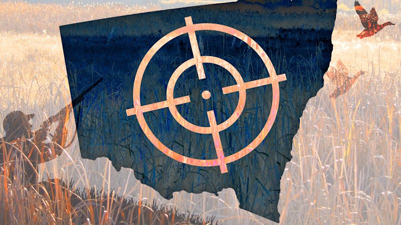 The ‘gaping hole’ being used to get a gun licence in NSW