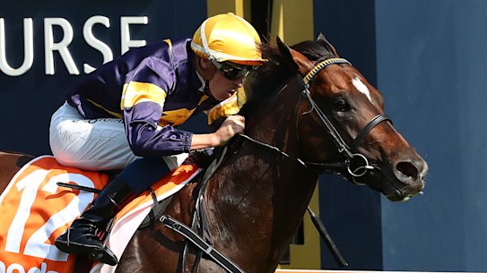 Full of running: Michael Dee steers youngster Alabama Express to victory in the CF Orr Stakes.