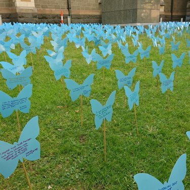 To mark Moore-Gilbert’s 800th day in prison, campaigners placed 800 cardboard butterflies outside Melbourne’s St Paul’s Cathedral. 