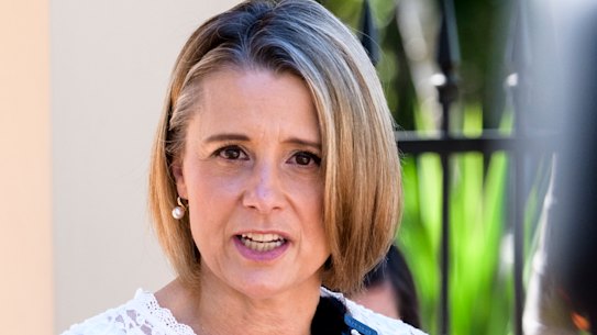 Labor senator Kristina Keneally speaks about her decision to contest the lower house seat of Fowler.