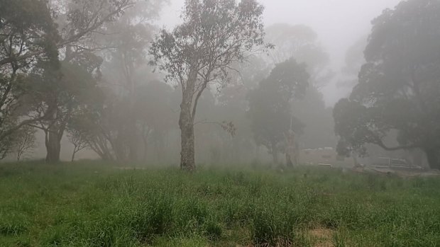 The Little Styx River Campground in northern NSW. 