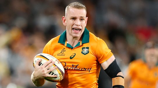 Rugby Australia will look to establish a future fund after becoming debt-free last Friday.