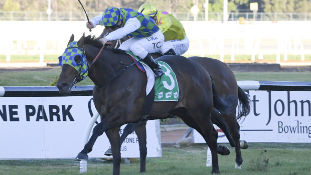 Prime Candidate beat several highly-fancied types home at Rosehill on Saturday.