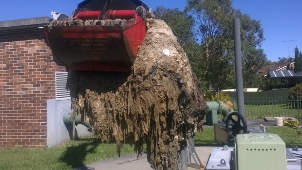 Sydney Water workers at the Shellharbour sewage pumping station cleaning out a blockage of wet wipes also known as a fatberg. 