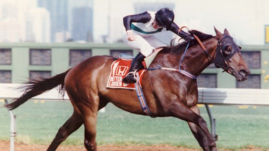 Better Loosen Up, winning the 1991 Australian Cup.