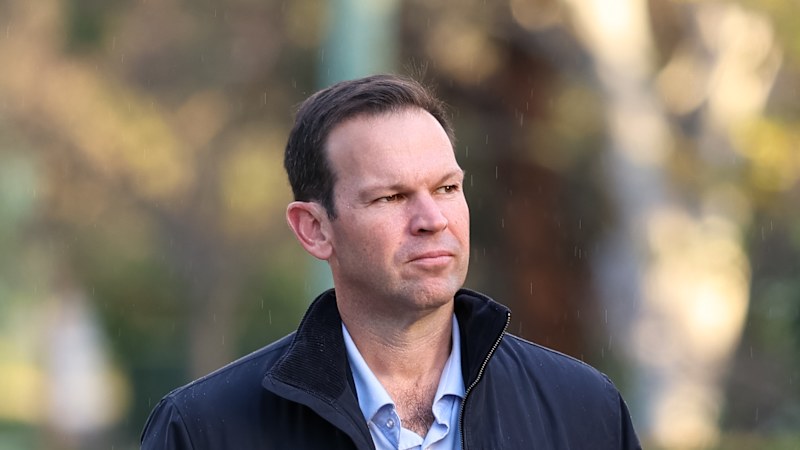 Coalition should work with One Nation to oust Labor, says Canavan