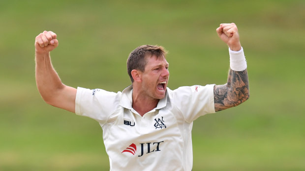 James Pattinson has stated his case for a Test recall.