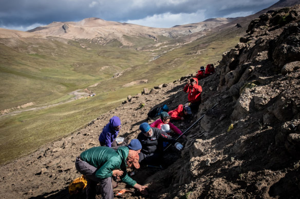 The remains were recovered from Chile’s far south Rio de las Chinas Valley in the Magallanes Basin between 2016 and 2020.