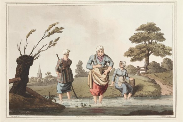 Women earned money by collecting leeches used in a range of cures. This illustration comes from a series of 40 engravings, facsimiles of original drawings, 1814, by George Walker, printed in London by T Bensley for Longman, Hurst, Rees, Orme and Brown. It is on display as part of the Kill or Cure exhibition at The State Library of NSW.
