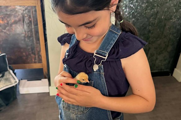 A filha de Lucy, Pip, com um dos três filhotes órfãos que a família cuidará neste Natal.