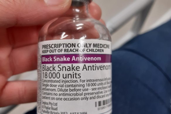 Arlo was treated with Black Snake anti-venom after he was bitten in his backyard. 