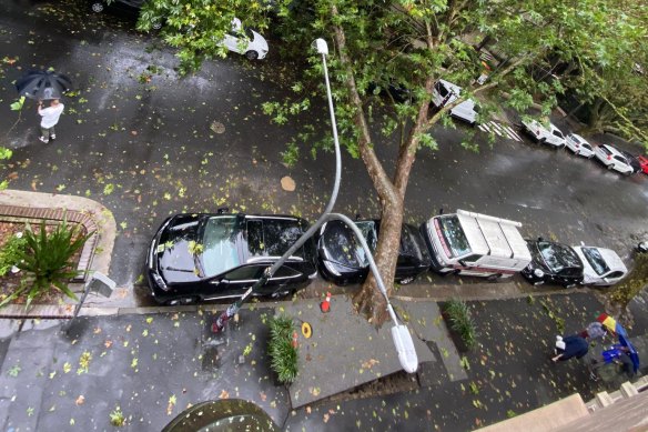 A tree fell in Victoria Street in Potts Point just after 3pm, causing a suspected gas leak and forcing residents to evacuate.