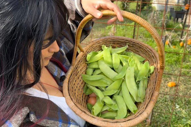 Gardener Krish shows off a basket of home-grown produce