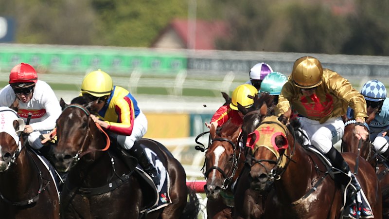 Race-by-race tips and previews for Gosford on Wednesday