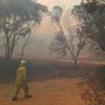 'Have a breath': Fraser Island township spared by metres after bushfire