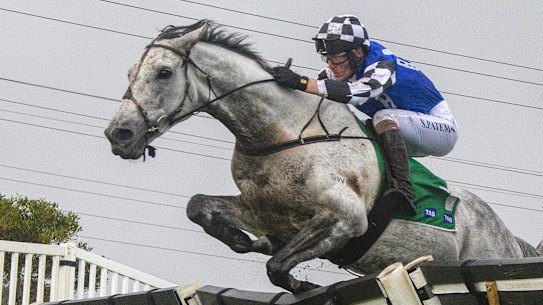 Saunter Boy on his way to victory.