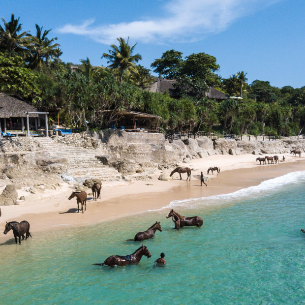 On the Indonesian island of Sumba, horses play an intrinsic role in daily life.  