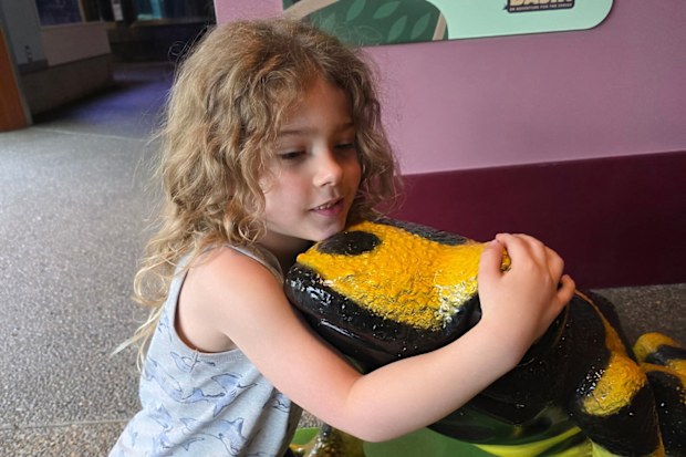 This undated photo provided by Swan Sheridan on Friday, Oct. 16, 2026, shows Rhoam Summer, a victim in the Thursday, Oct 15, 2026, shooting at Silver Rail Elementary School in Bend, Ore. (Lillian Hannah Jolly-Summer/Swan Sheridan via AP)