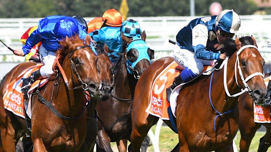 Michael Walker steers talented two-year-old Tagaloa to victory in the Blue Diamond Stakes at Caulfield.