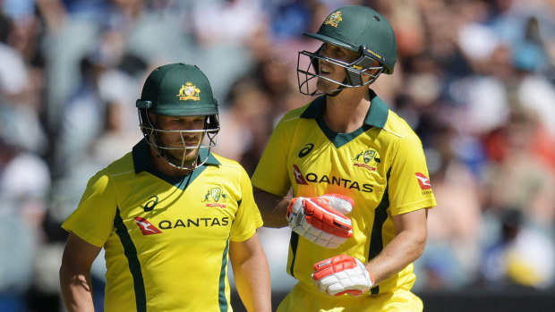 Captain material:  Mitch Marsh and Aaron Finch.