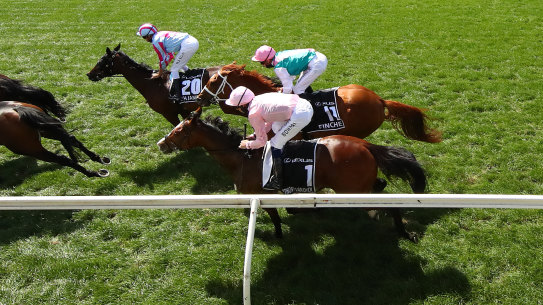 Jockey Hugh Bowman (in pink) on-board Anthony Van Dyck in the Melbourne Cup.