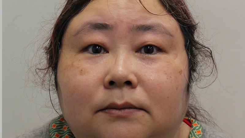 ‘Super villain’: Chinese woman jailed after $10 billion crypto seizure