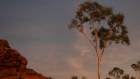 A corner of Emily Kam Kngwarray’s country, Alhalker, 250 km north-east of Alice Springs.