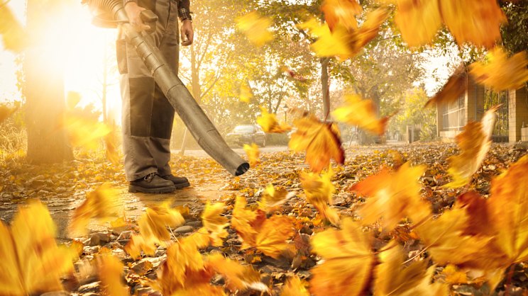 smh.com.au - Jo Stubbings - The jet skis of suburbia are more popular than ever. I can't believe leaf blowers are allowed to exist