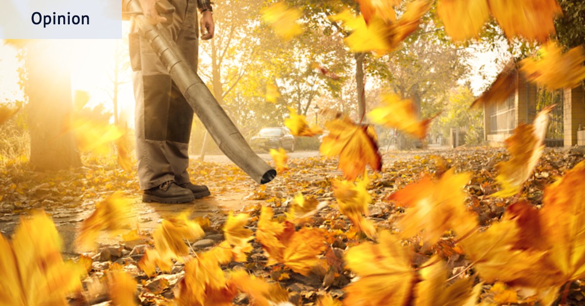 The jet skis of suburbia are more popular than ever. I can’t believe leaf blowers are allowed to exist