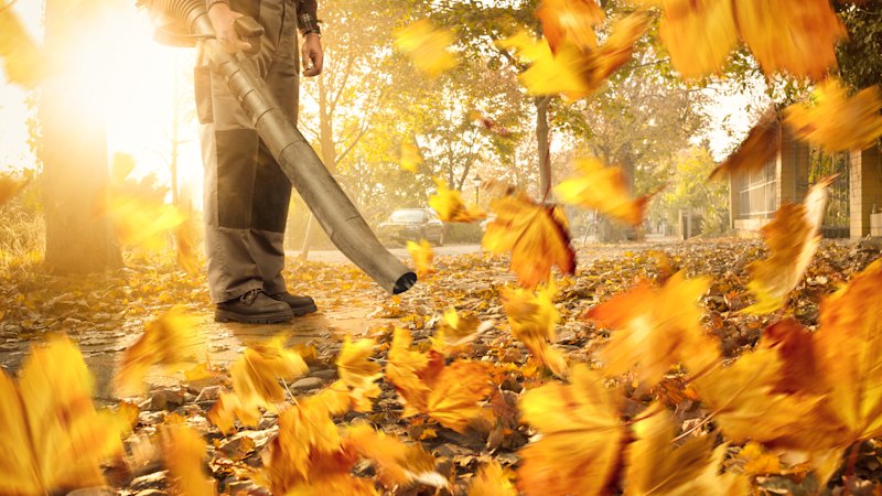 The jet skis of suburbia are more popular than ever. I can’t believe leaf blowers are allowed to exist