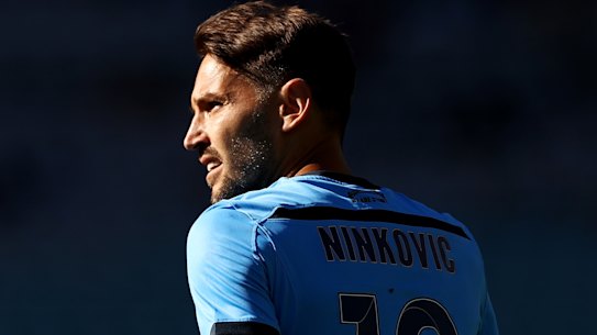 Milos Ninkovic admits he came very close to signing for Macarthur FC this season.