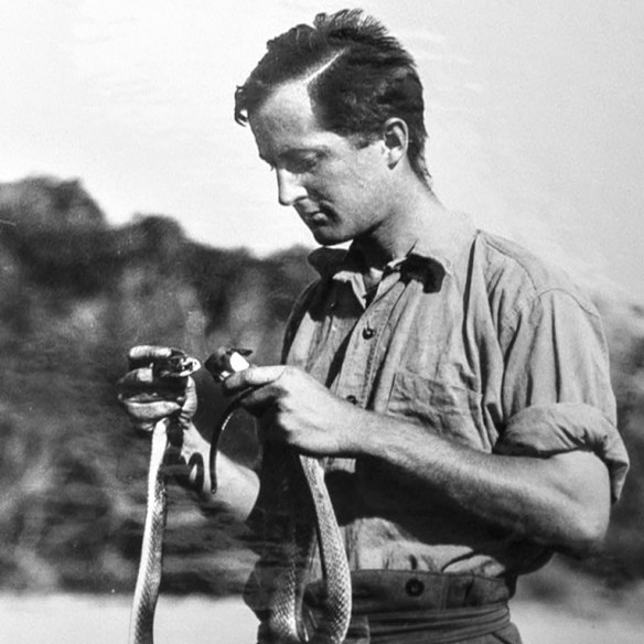 Naturalist, biologist, zoologist, botanist and “vehement defender of Aboriginal rights”, Professor Donald Thomson pictured with a taipan in 1928.