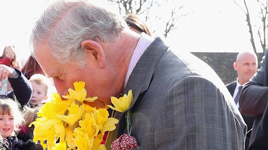 While enjoying daffodils on a visit to Wales in 2017, King Charles chose a different bloom to inspire his first scent for Penhaligon’s