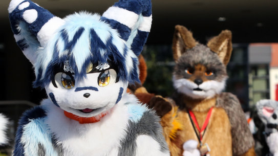 The number of “furries” attending Australia’s annual convention has soared over the past decade.