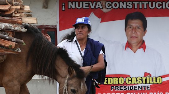 A woman walks her horse carrying firewood past a home decorated with a poster of Free Peru party presidential candidate Pedro Castillo in Puna, Peru.