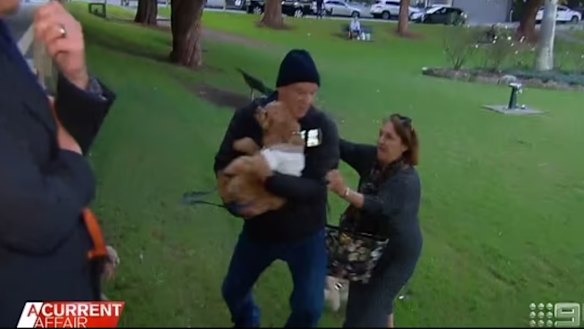 Mark Gillespie grabs Oscar the cavoodle at a Sydney park, in a screengrab from A Current Affair.