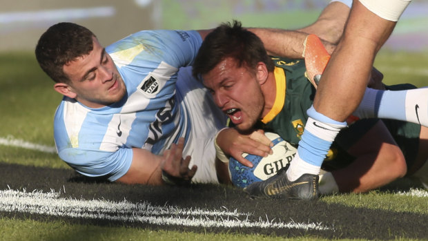 Rugby Championship 2019 South Africa Sprinboks send World Cup warning after beating Argentina Pumas