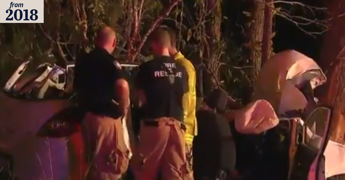 Teens fighting for life after car crashes into tree in Brisbane's east
