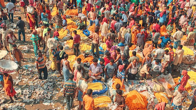 Mullick Ghat Flower Market in Kolkata, India’s biggest.