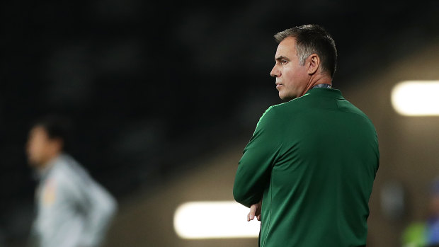 Ante Milicic watches on at Bankwest Stadium during Olympic qualifiers earlier in 2020. 