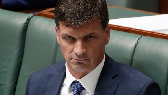 Energy Minister Angus Taylor.