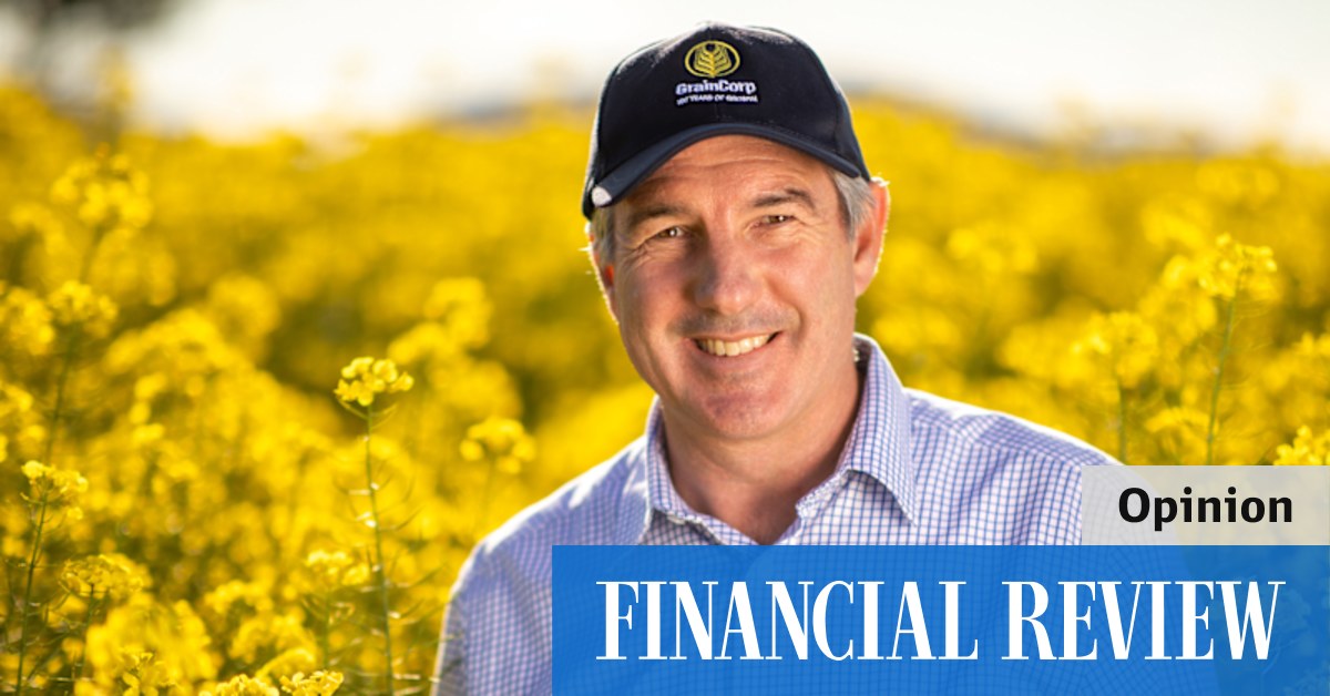 Bumper crop: GrainCorp does the capital allocation dance, again - Vimarsana News