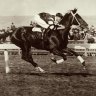 Phar Lap’s heart and the battle to solve the mystery of the horse’s tragic end