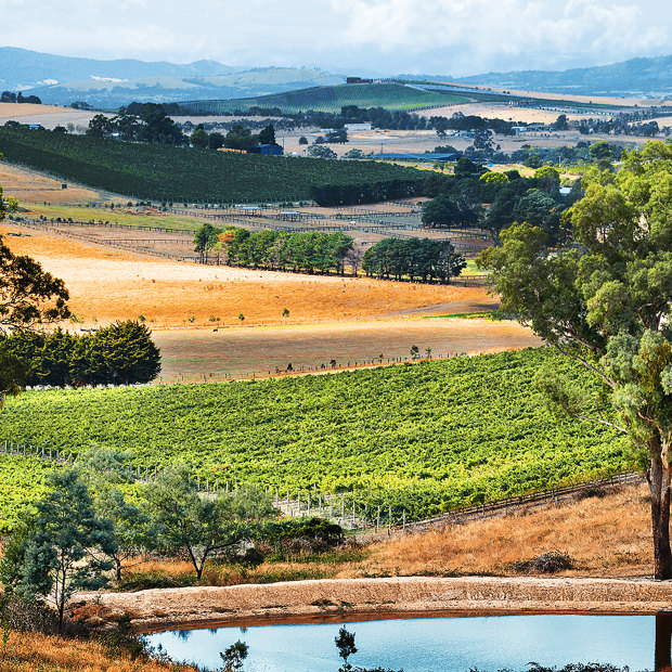 Handpicked, on Victoria's Mornington Peninsula, has emerged as a pinot noir and chardonnay specialist.